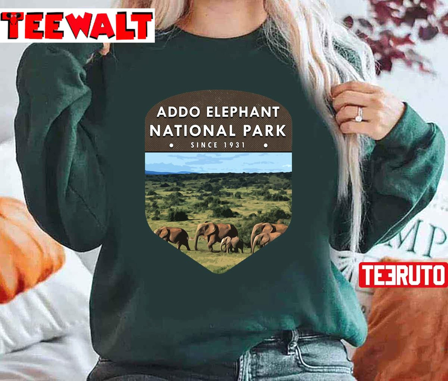 Addo Elephant National Park Unisex Hoodie